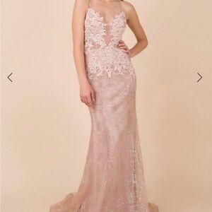Elegant Lace Evening Gown in Blush
